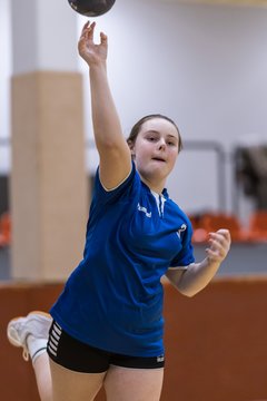 Bild 138 - wCJ TSV Ellerau - SG Pahlhude/Tellingstedt : Ergebnis: 21:18